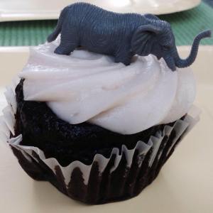 This tiny elephant became my cupcake topper after it fell from the piñata.