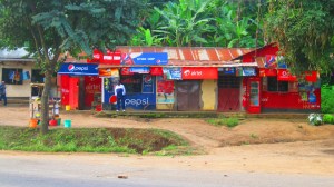 Commercial strips such as this are a familiar sight on the roadways.